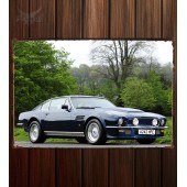 Металлическая табличка Aston Martin V8 Vantage